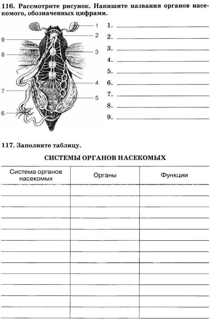 Тесты по биологии по насекомым. Таблица по биологии 7 класс система органов насекомых. Системы органов насекомых таблица 7 класс биология. Системы органов насекомых 7 класс. Системы органов насекомых таблица биология 8 класс.