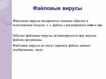 Файловые вирусы объект заражения
