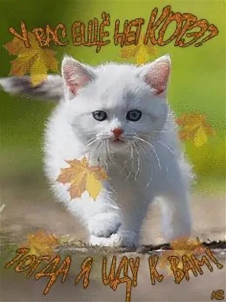 https://img-fotki.yandex.ru/get/59023/93346980.453/0_37be30_85a6f4e3_orig Объяти