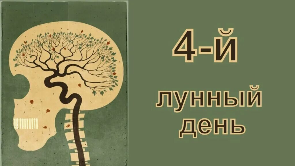 4 лунный день характеристика дня. 4 лунные сутки картинки. 4 лунный день характеристика. Символ 4 лунный день. Дерево эзотерика.