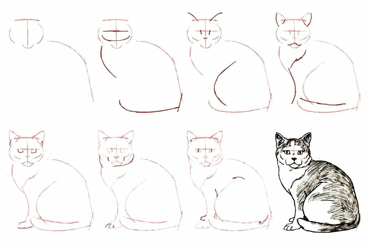 Кошка рисунок карандашом. Поэтапное рисование карандашом. Уроки рисования кошек. Кот рисунок карандашом поэтапно. Быстро просто кошка