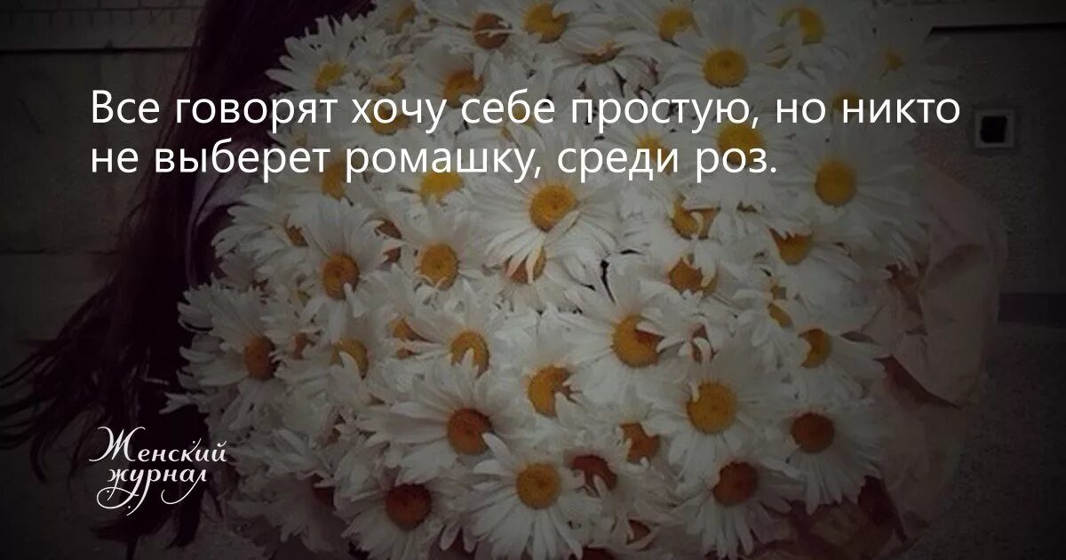 Я люблю ромашки. Иногда для счастья достаточно букета ромашек. Ромашка надпись. Цитаты про ромашки.