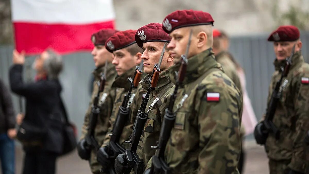 Польские войска. Поляки военные. Войска Польши на Украине. Свухопутные войскапольши. Миссия нато на украине