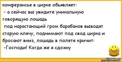 Анекдот про говорящую лошадь. Анекдот про лошадь в цирке. Анекдот про лошадь под куполом цирка. Цирковые анекдоты.