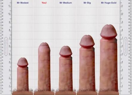Slideshow actual porn star penis sizes.