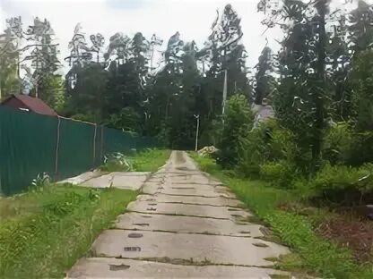 Бороденки рузский. Бороденки рузский. Бороденки рузский. Бороденки рузский. Бороденки рузский.
