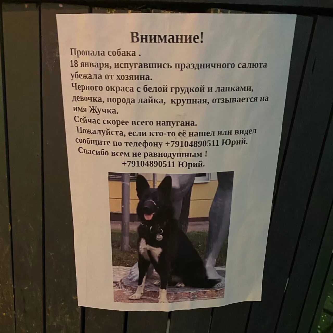 Объявление о пропаже образец. Объявление о пропаже. объявления о пропаже документов. объявления о находках. объявление о пропаже самоката.