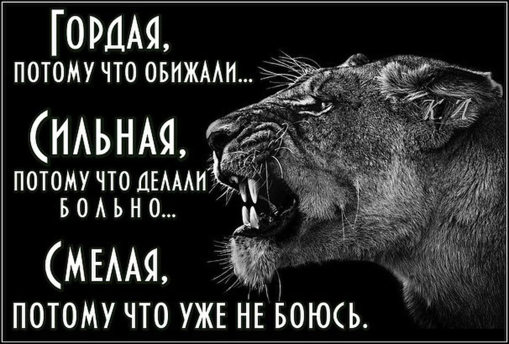 Быть сильнее обид. Цитаты с картинкой Льва. Лев цитаты. Цитаты про львицу. Фразы про Львов.