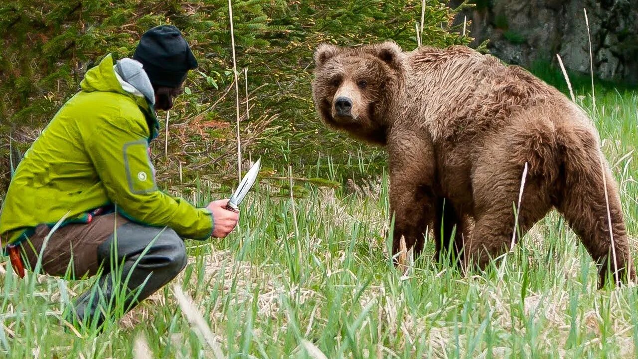 Опасны ли медведи. Медведь и человек. Встреча с медведем. Встреча человека с медведем.