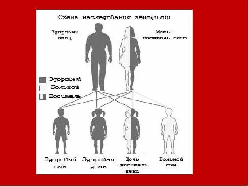 Передаётся ли шизофрения по наследству от отца. Как передаётся шизофрения по наследству схема. Рост человека передается генетически. Риск шизофрении наследственность. Шизофрения передается по наследству какой линии