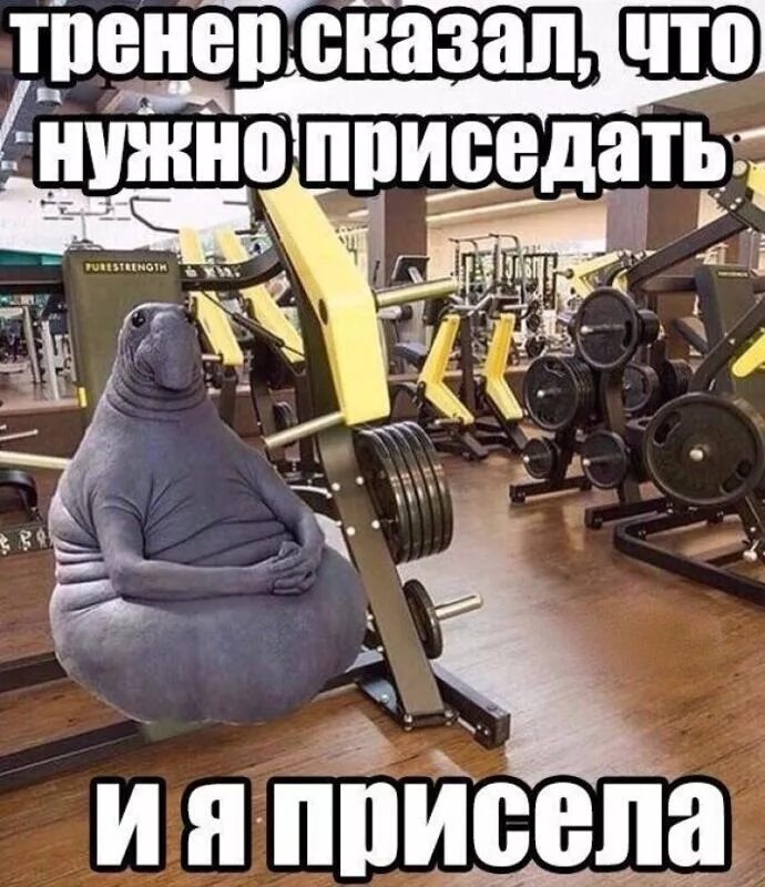 Мем после тренировки