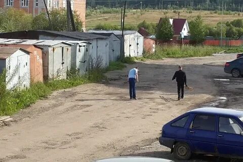Д п светлый