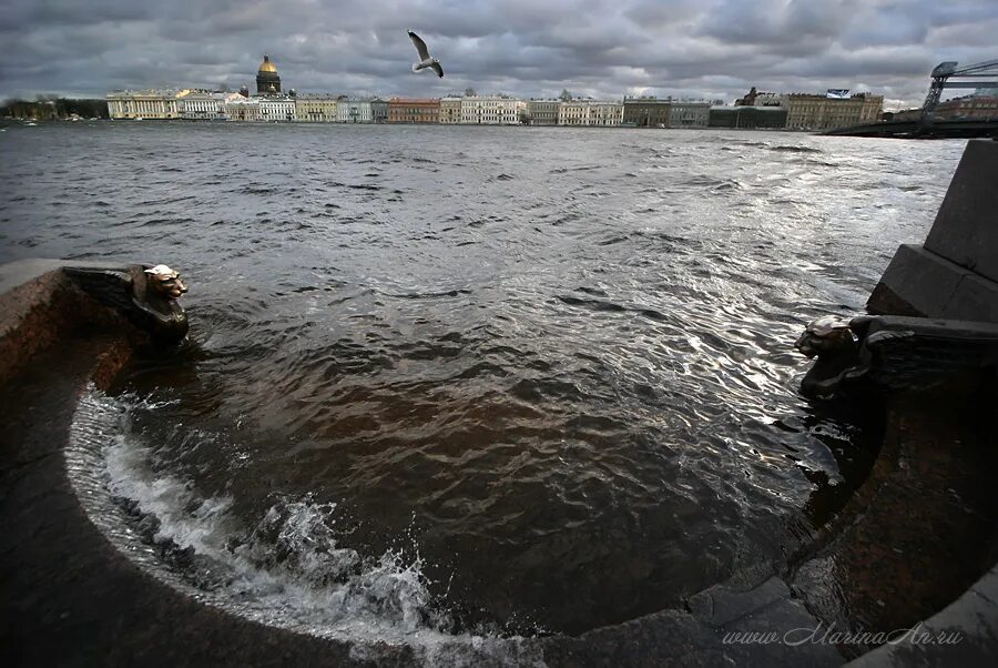 На реке неве на воде. Река Нева наводнение. Наводнение Питер 2005. Фонтанка наводнение 2007. Наводнение в Санкт-Петербурге 2007.