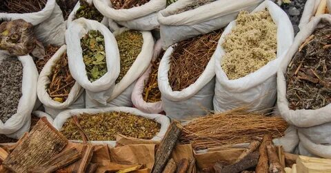Medicine plants