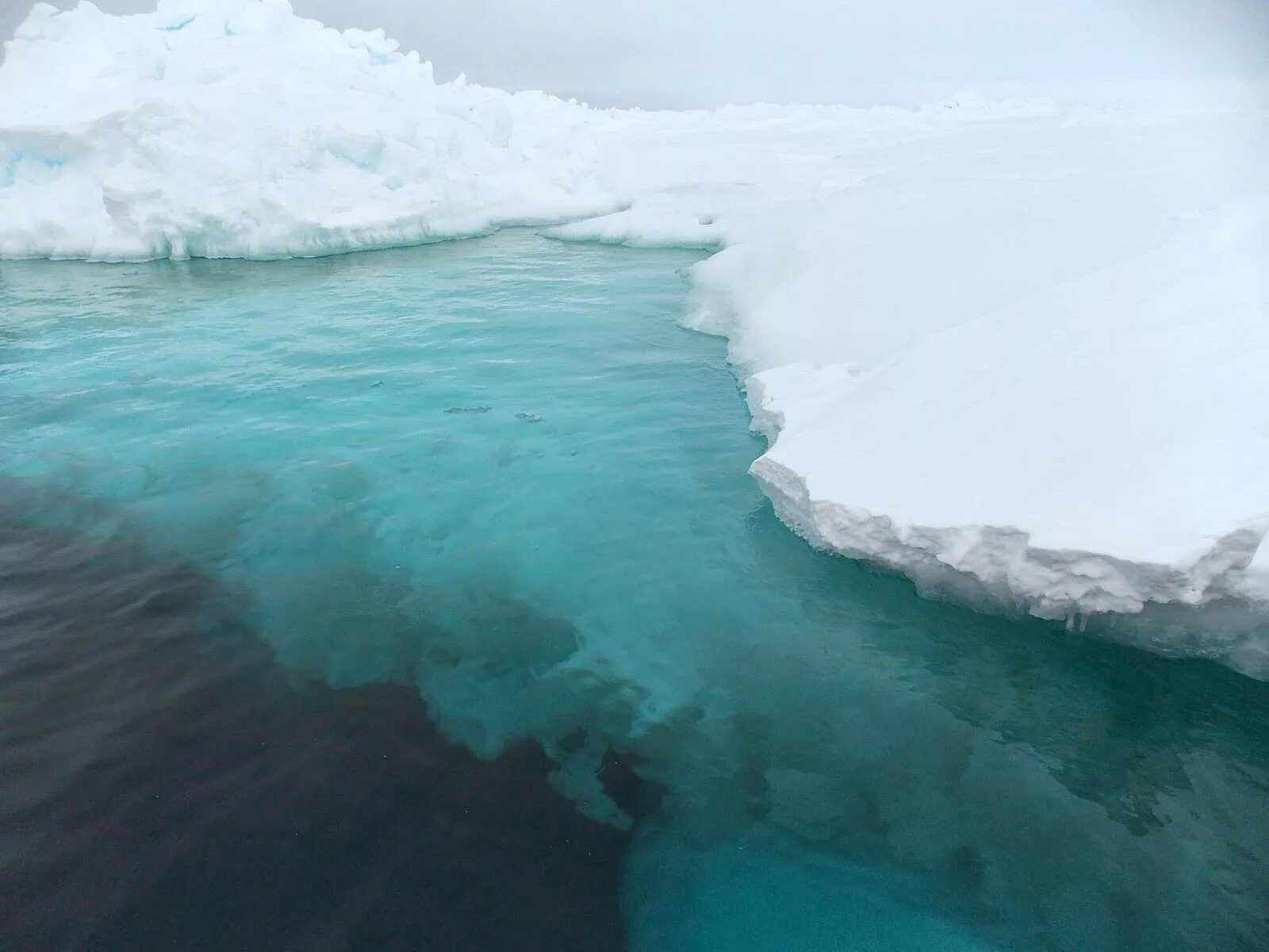 Море Уэдделла. Море Уэдделла в Антарктиде. Море Уэдделла вода. Море Уэдделла моря Южного океана. Атлантический океан в антарктиде