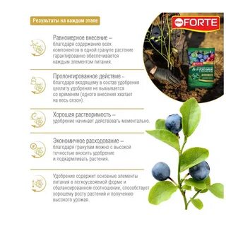 Bona forte для голубики и лесных ягод