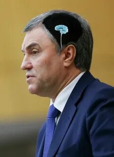 Спикер володин дети