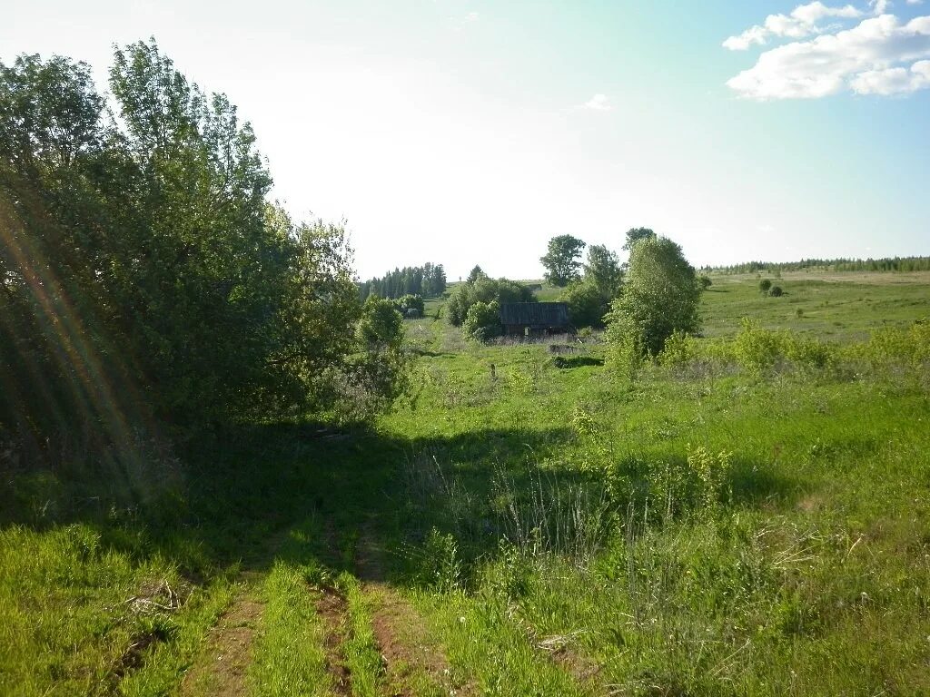 Погода в больших кустах куединского. Деревня Колегово Куединского района. Узяр Пермский край. Деревня Узяр. Узяр Куединский район.