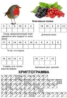 Криптограмма уровень 16