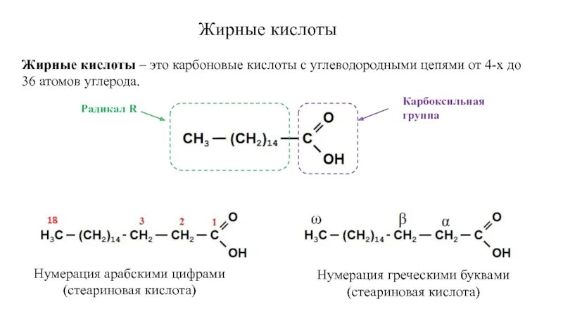 Число атомов углерода в карбоновой кислоте