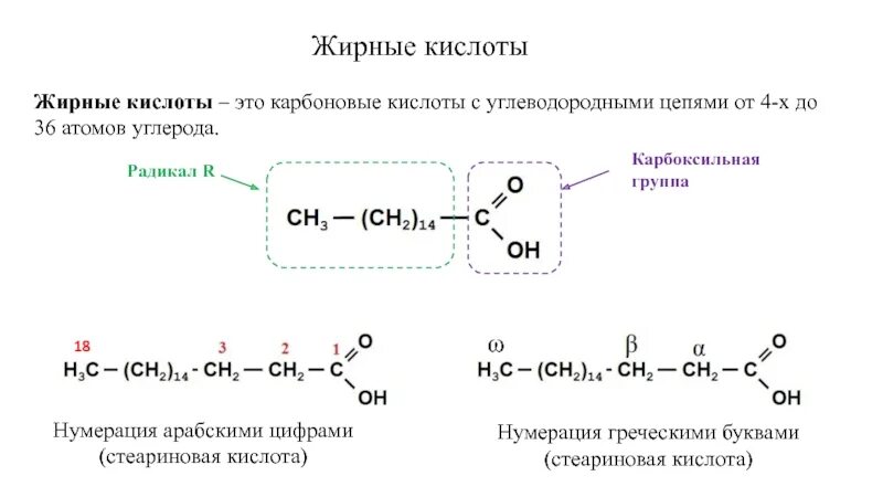 Кислотный радикал. Карбоновые кислоты по типу углеводородного радикала. Реакции с участием углеводородного радикала карбоновых кислот. Радикалы жирных кислот. Карбоновые кислоты основная цепь с радикалом.