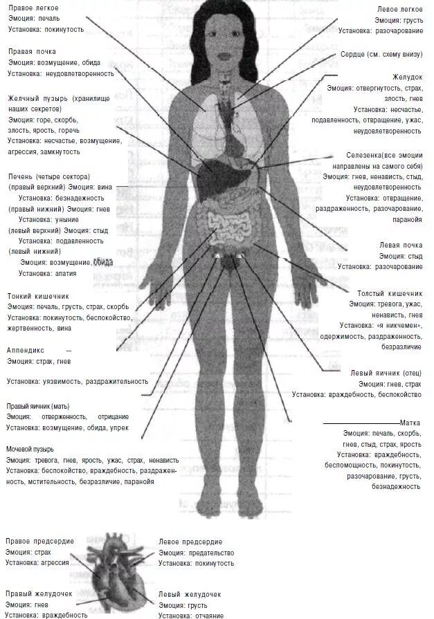 Тело говорит о болезни. Кэрол Ритбергер сигналы тела. Эмоции и болезни тела. Части тела и эмоции. Эмоции и болезни органов.