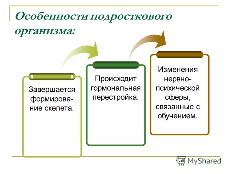 Изменения в организме подростков