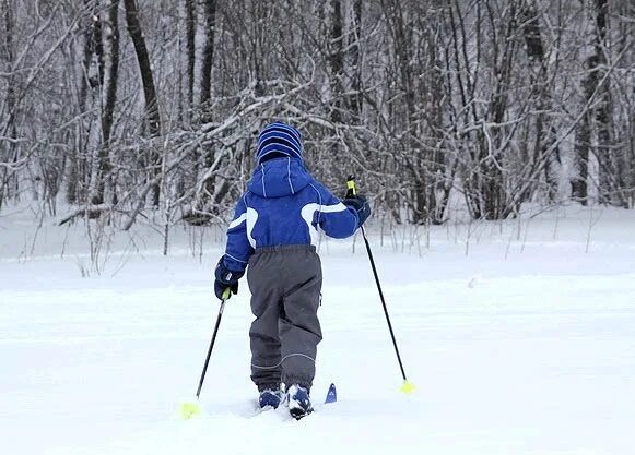 Дети на беговых лыжах. Дети на беговых лыжах катаются. Малыш на лыжах. Школьники на лыжах.
