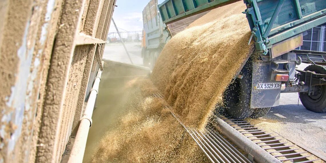 Почему зерно украины. Экспорт зерна. Зерно порт. Зерно в портах. Вывоз зерна.