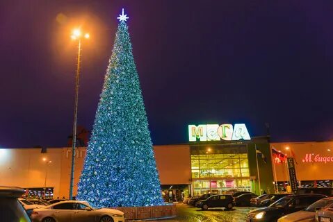 Ели омск