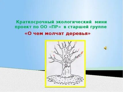 Краткосрочный экологический проект