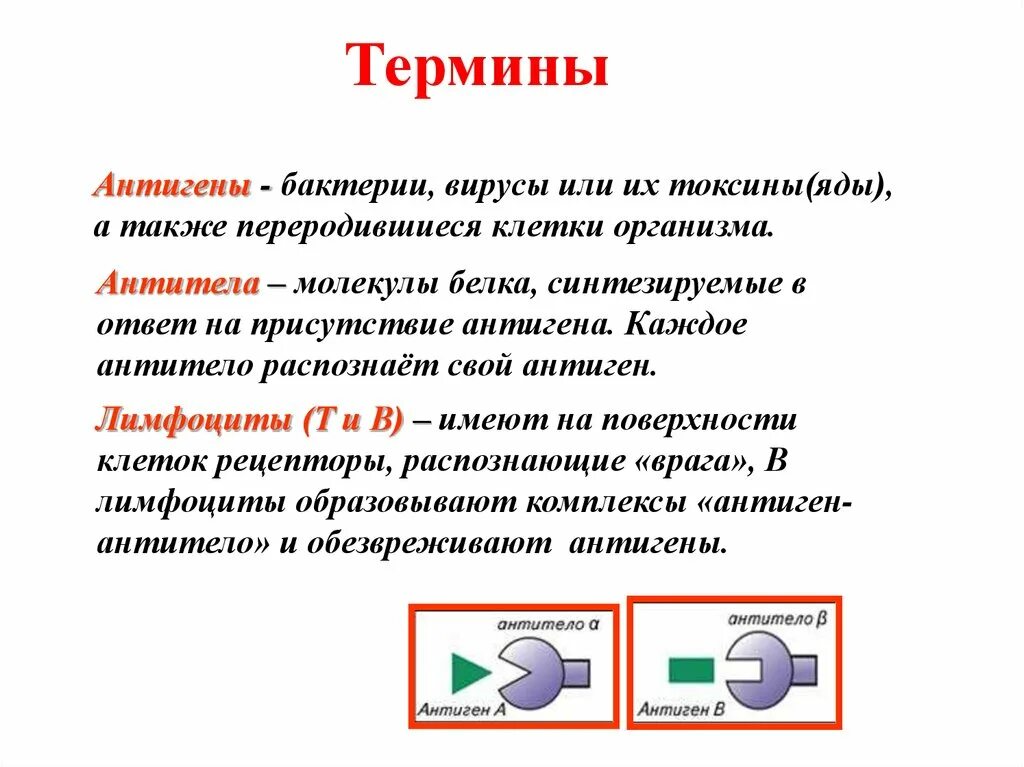 Токсины антигены. Понятие об антигенах и антителах. Иммунитет антитела антигены. Определение понятия антиген. Антиген и антитело определение.