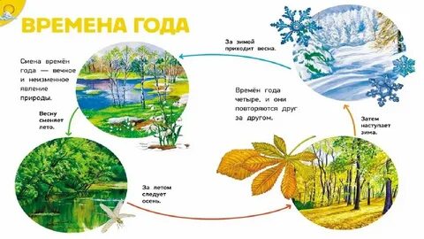 Общая характеристика времен года 4 класс конспект