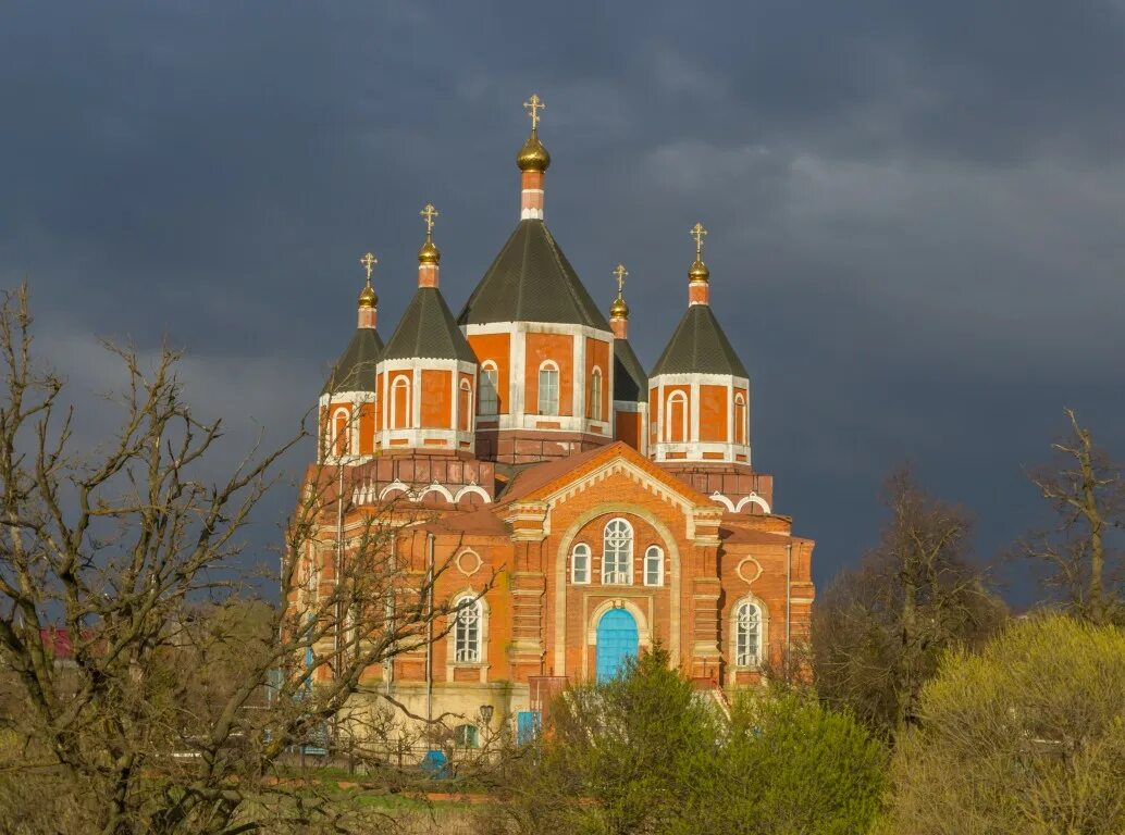 церковь Тихона Задонского, православный храм, Зелёная ул., 3, село Борщевая - Ян