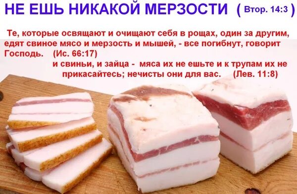 Православным можно есть свинину по библии. Сало свиное соленое. свинина в библии. как выглядит сало. не ешьте свинину библия.