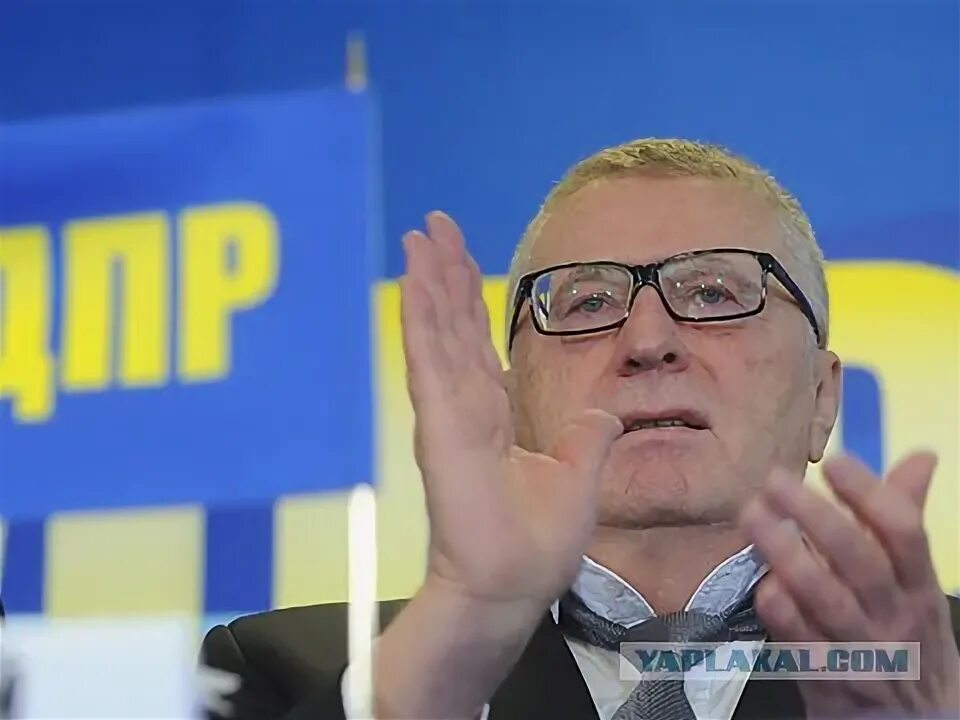 Губернатор от лдпр. Губернатор из лдпр.