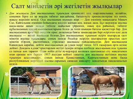 Кама Сутраның анальды суреттері