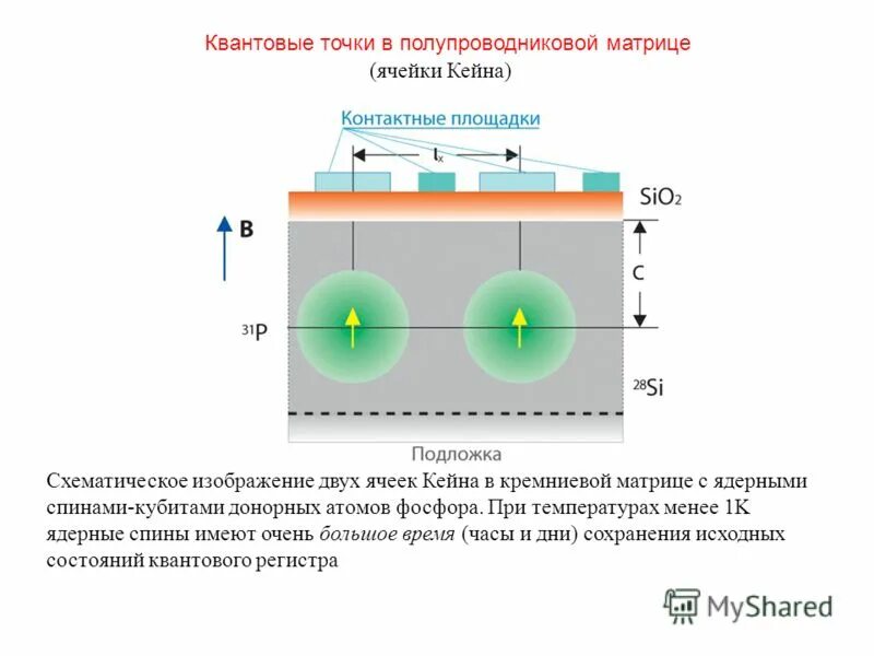 Отличительной способностью кубита является