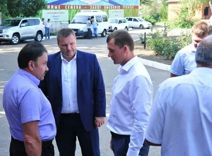 Павловские новости сегодня