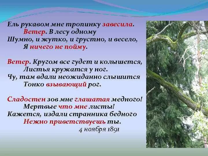 Фет ель рукавом мне тропинку завесила. Стих Фета ель рукавом мне тропинку завесила. Фет ель рукавом. Ель за рукавом мне тропинку. Средства выразительности стихотворения фета