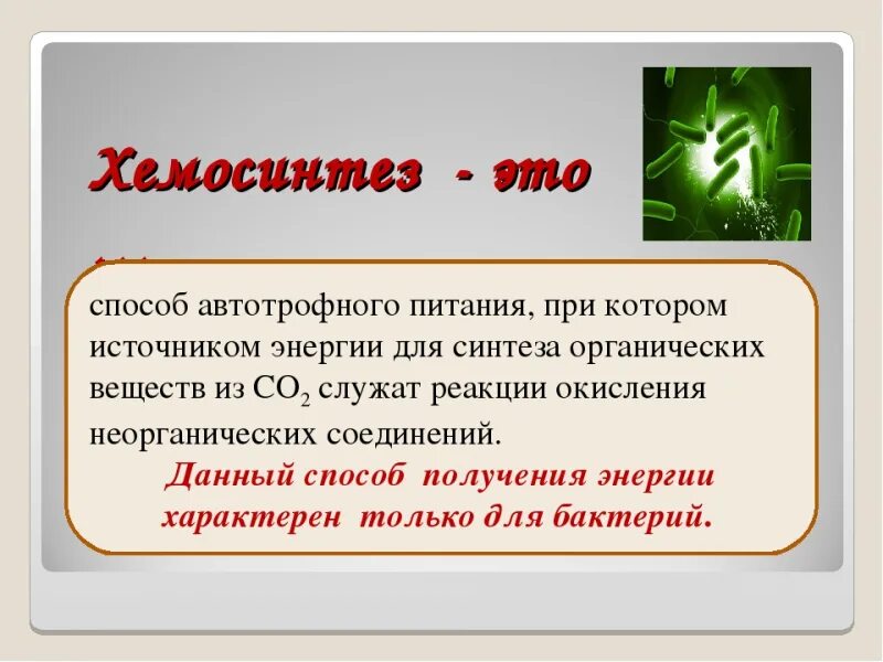 Хемосинтез. Хемосинтез презентация 10 класс профильный уровень. Хемосинтез это в биологии кратко. Питание клетки хемосинтез. Хемосинтезирующие бактерии характеризуются