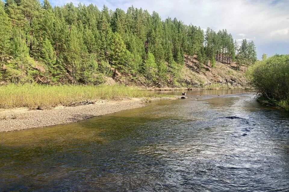 Вода в реке стала быстро прибывать. Чита река Читинка. Река Кручина Забайкальский край. Река Читинка в Забайкальском крае. Река Каренга Забайкальский край.