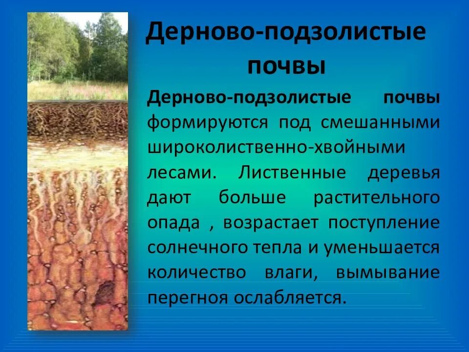 Дерново подзолистый тип почвы природная зона. Дерново-подзолистые почвы. Подзолистые и дерново-подзолистые почвы. Мощность дерново подзолистых почв. Дерново-подзолистые почвы природная зона.