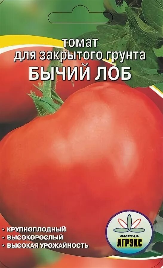 Сорт бычий лоб отзывы. Сорт томат бычий лоб. Сорт помидора бычий лоб. Бычий лоб томат описание. Характеристика сорта томата бычий лоб.