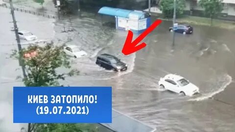 Потоп устроенный шариковым