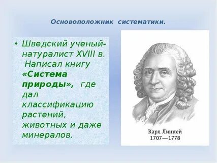 Кто автор систематики