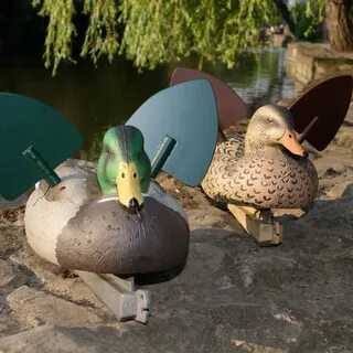 Mad ducks