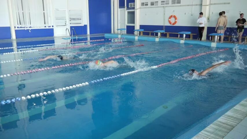 фок перевоз нижегородская. фок чайка перевоз официальный сайт. фок чайка перевоз. фок перевоз нижегородская область. фок перевоз нижегородская область.