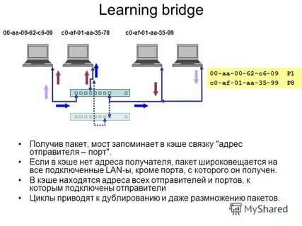 Net адрес