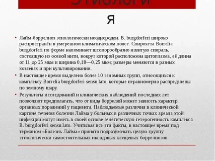 Иммуноглобулины боррелиоза